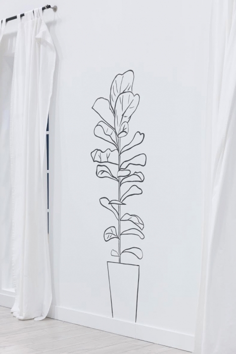 https://khandotcom.com:443/files/gimgs/th-7_ElephantPlant.jpg